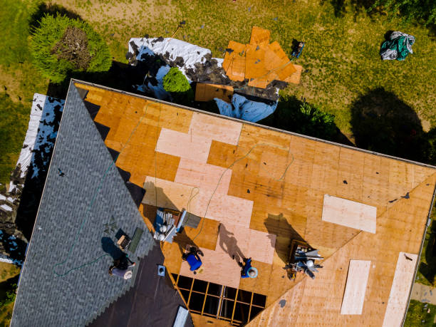Best Storm Damage Roof Repair  in Galena, IL